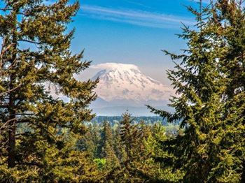 Mt. Rainier and cascade range views - in select homes*